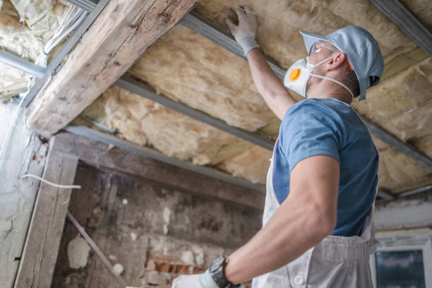 Best DIY Insulation Kits and Guidance in Monticello, FL