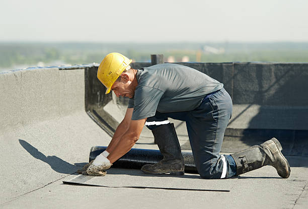 Best Cellulose Insulation in Monticello, FL
