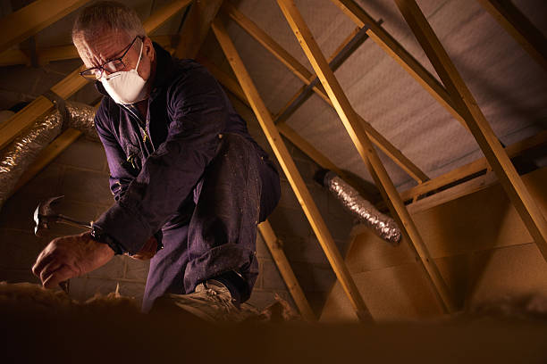 Best Specialized Insulation Services in Monticello, FL